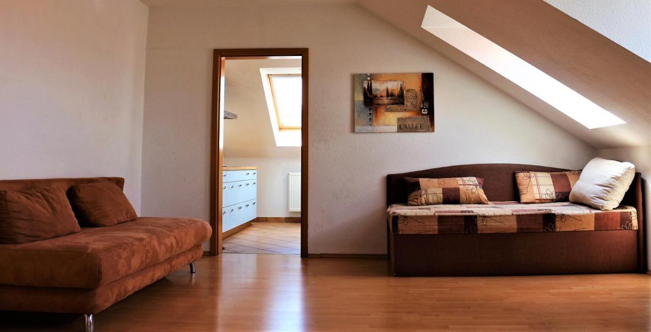 Zentral Gelegene Wohnung Nahe Schwanenteich Zwickau Exteriör bild